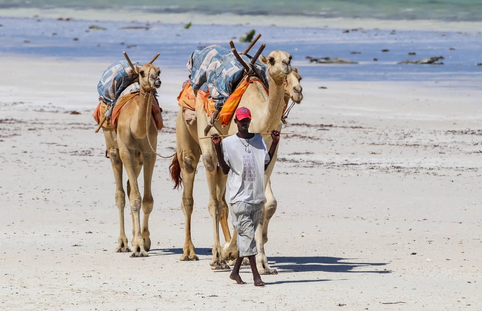 Camel trek in northern Kenya
