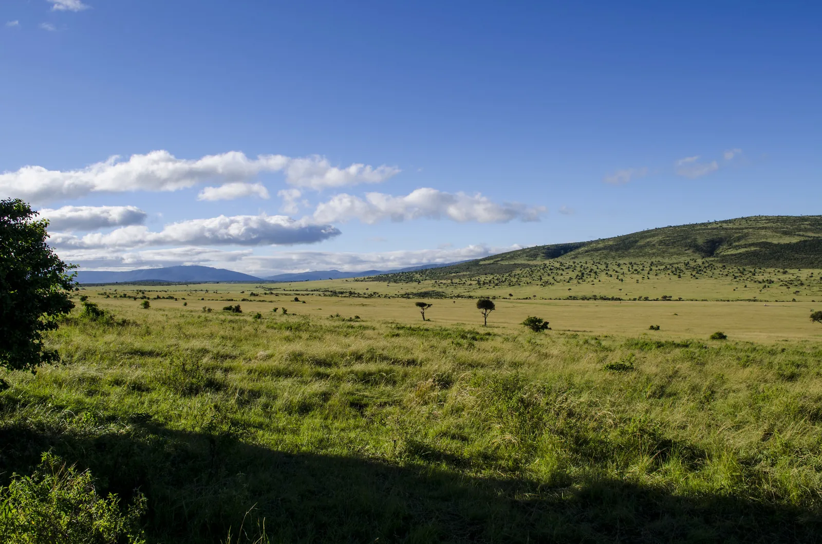 Open grassland under cloud, Masai Mara, Kenya